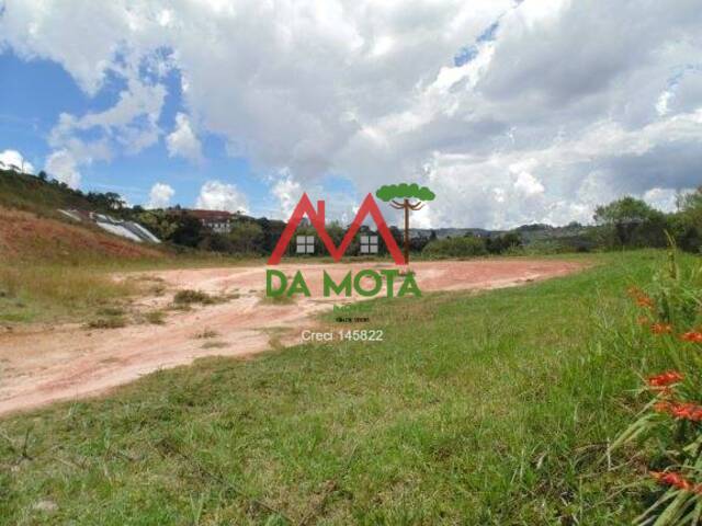 Área para Venda em Campos do Jordão - 4