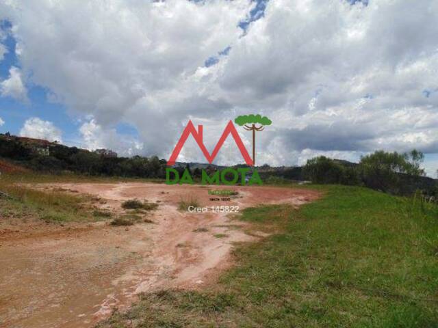 Área para Venda em Campos do Jordão - 5