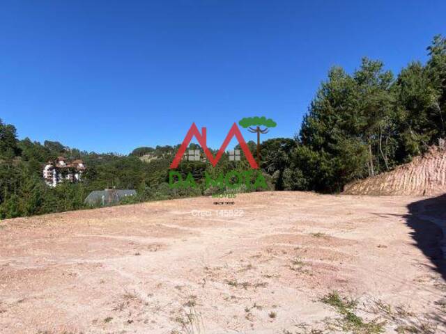 Terreno para Venda em Campos do Jordão - 4
