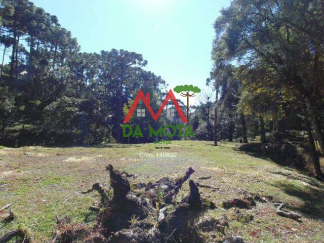 Terreno para Venda em Campos do Jordão - 4