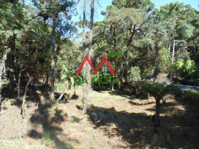 Terreno para Venda em Campos do Jordão - 5