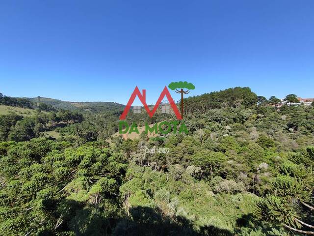 #244 - Apartamento para Venda em Campos do Jordão - SP