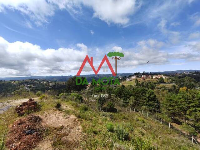 #261 - Terreno para Venda em Campos do Jordão - SP - 1
