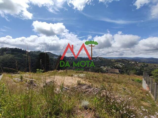 #262 - Terreno para Venda em Campos do Jordão - SP - 1