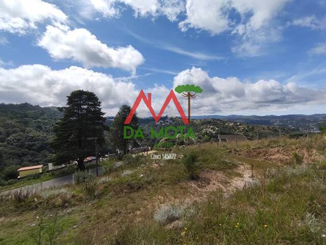 #262 - Terreno para Venda em Campos do Jordão - SP - 3