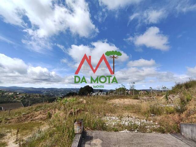 #262 - Terreno para Venda em Campos do Jordão - SP - 2
