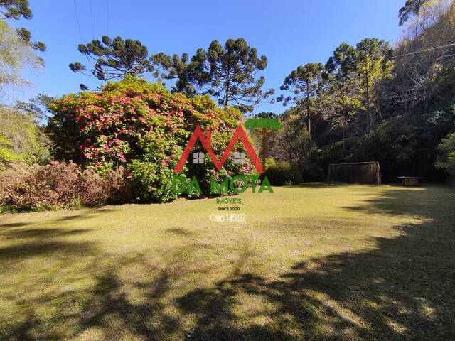 #302 - Fazenda para Venda em Campos do Jordão - SP - 2