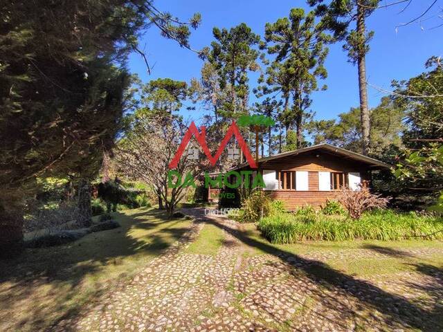 #302 - Fazenda para Venda em Campos do Jordão - SP - 1
