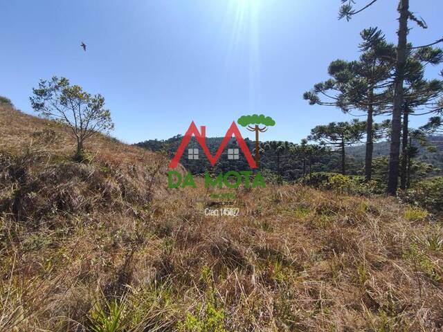 #306 - Área para Incorporação para Venda em Campos do Jordão - SP - 1