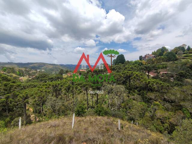 Terreno para Venda em Campos do Jordão - 5