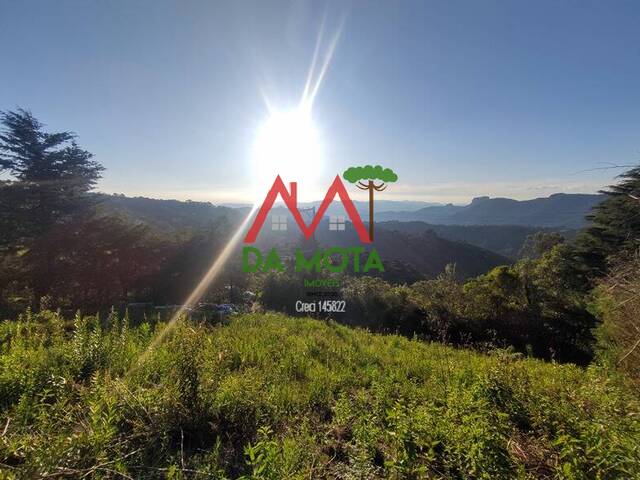 #336 - Terreno para Venda em Campos do Jordão - SP - 1