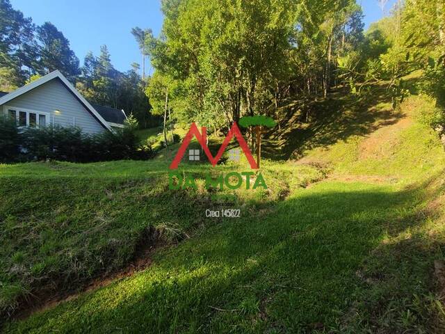#337 - Terreno para Venda em Campos do Jordão - SP - 2