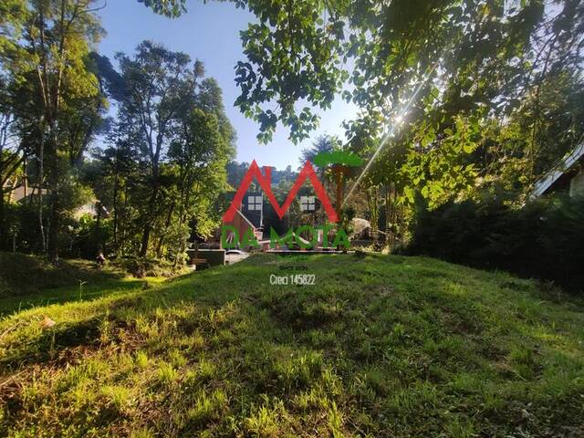 #337 - Terreno para Venda em Campos do Jordão - SP - 3