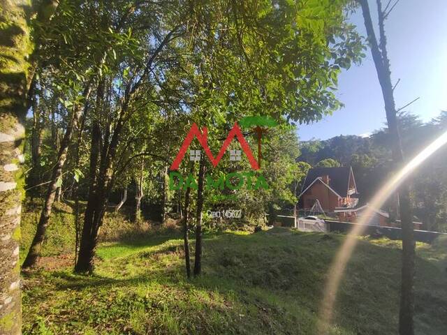 Terreno para Venda em Campos do Jordão - 5