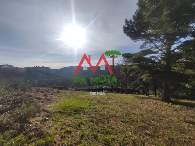 Terreno para Venda em Campos do Jordão - 4