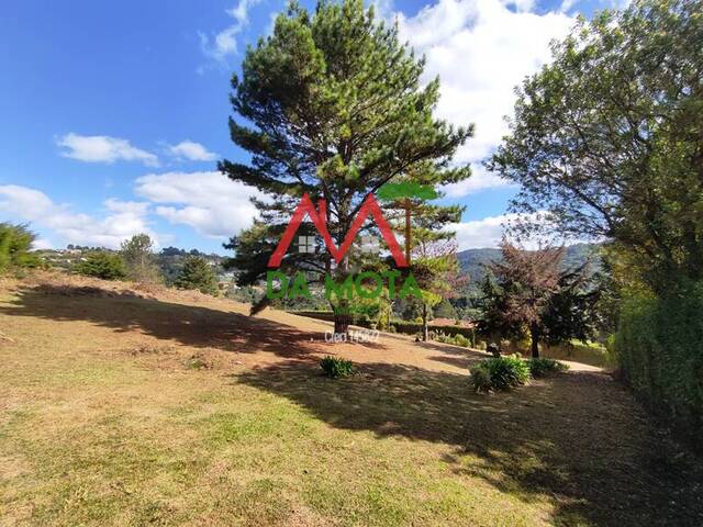 #398 - Terreno para Venda em Campos do Jordão - SP - 1
