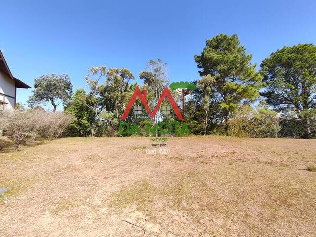 #412 - Terreno em condomínio para Venda em Campos do Jordão - SP - 1