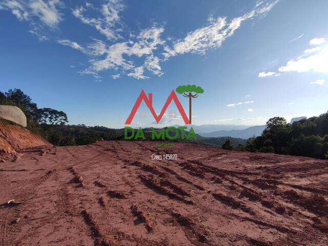 #416 - Terreno para Venda em Campos do Jordão - SP - 1
