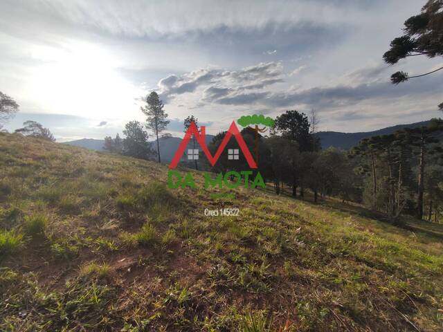 #421 - Terreno para Venda em Campos do Jordão - SP - 1