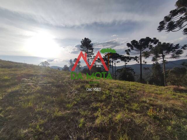 #422 - Terreno para Venda em Campos do Jordão - SP - 1