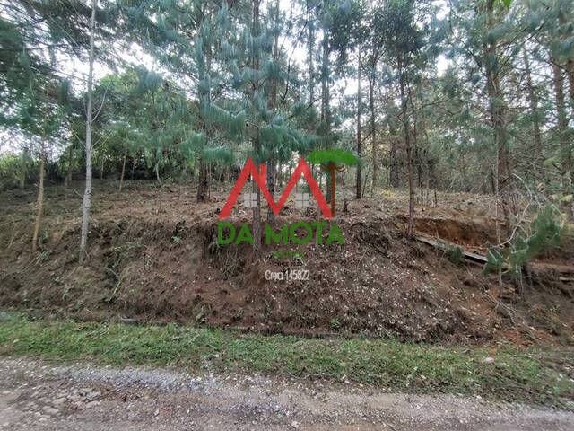 #430 - Terreno para Venda em Campos do Jordão - SP - 1