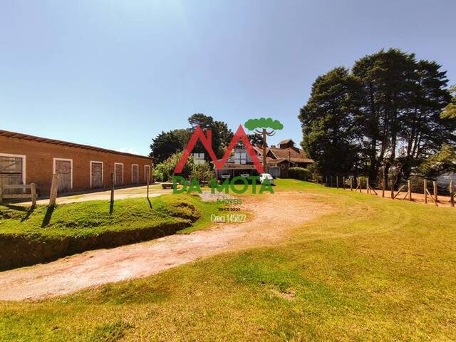 Casa para Venda em Campos do Jordão - 4