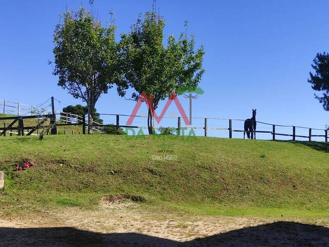 #414 - Área para Venda em Campos do Jordão - SP - 1