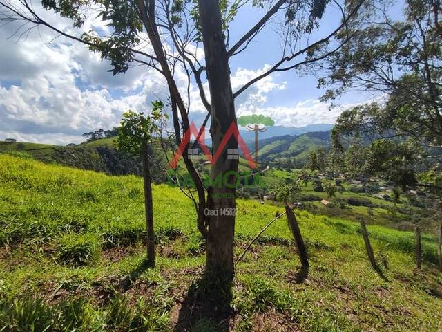 Área para Venda em Campos do Jordão - 4