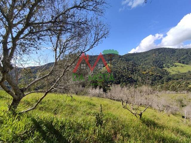 Sítio para Venda em Campos do Jordão - 4