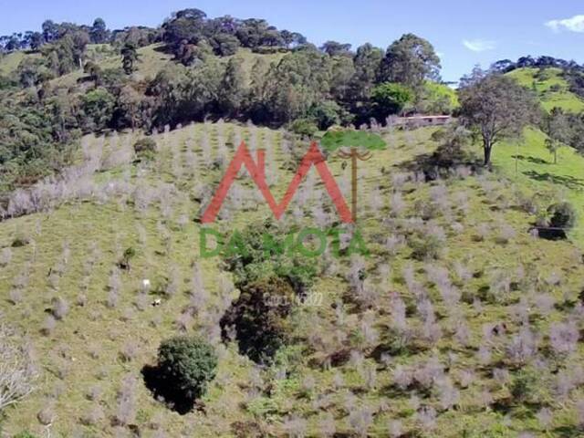Sítio para Venda em Campos do Jordão - 5