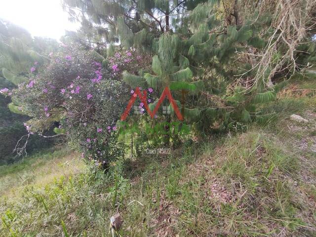Terreno para Venda em Campos do Jordão - 3