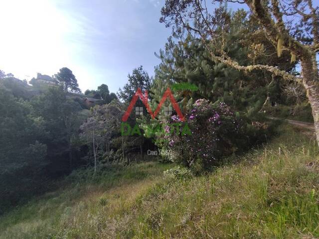 Terreno para Venda em Campos do Jordão - 2