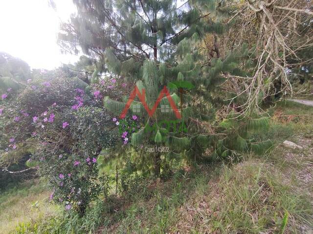 Terreno para Venda em Campos do Jordão - 4