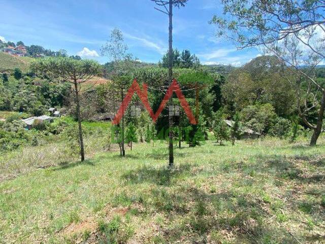 Terreno para Venda em Campos do Jordão - 4