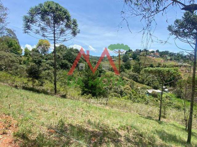 Terreno para Venda em Campos do Jordão - 5