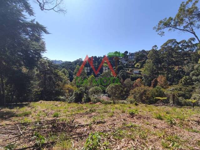 #507 - Área para Venda em Campos do Jordão - SP - 1