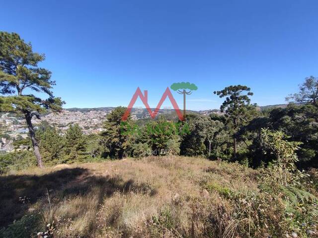 #508 - Terreno para Venda em Campos do Jordão - SP - 1