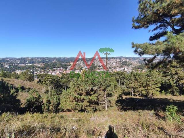 Terreno para Venda em Campos do Jordão - 5