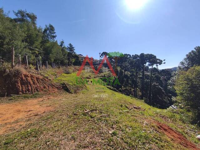 Terreno para Venda em Campos do Jordão - 4