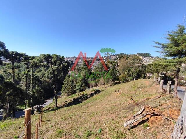 Terreno para Venda em Campos do Jordão - 5