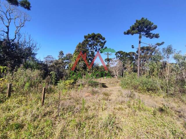 #511 - Área para Venda em Campos do Jordão - SP - 1