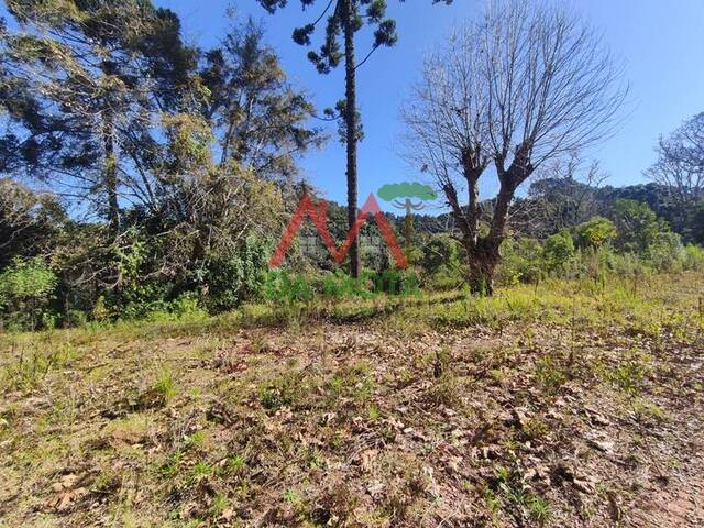 Área para Venda em Campos do Jordão - 4