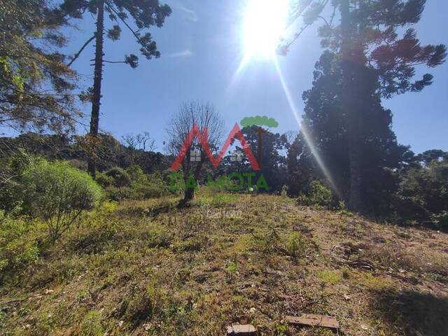 Área para Venda em Campos do Jordão - 5