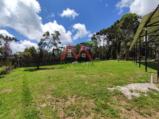 Terreno para Venda em Campos do Jordão - 4