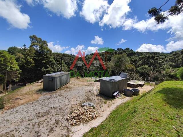 Terreno para Venda em Campos do Jordão - 5