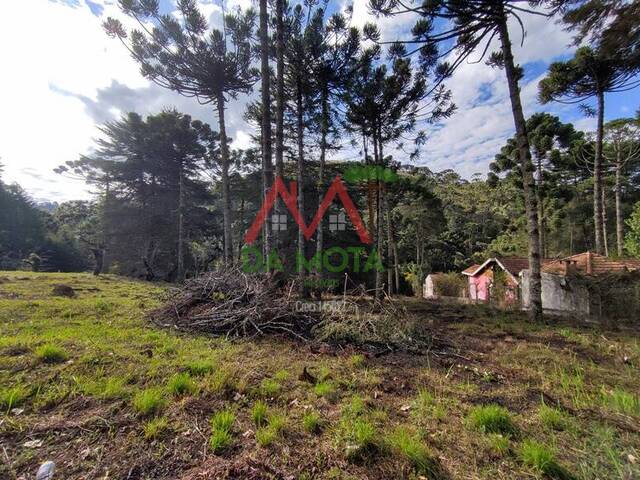 Casa para Venda em Campos do Jordão - 4