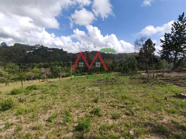 Terreno para Venda em Campos do Jordão - 4