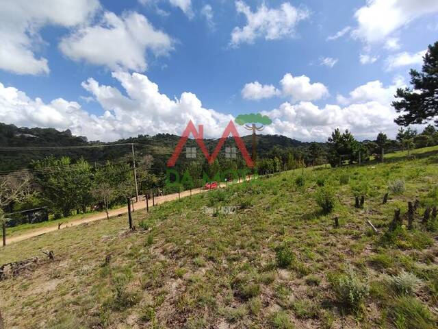 Terreno para Venda em Campos do Jordão - 5