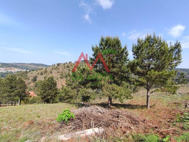 #545 - Terreno para Venda em Campos do Jordão - SP - 1