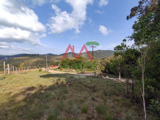 #546 - Área para Venda em Campos do Jordão - SP - 2